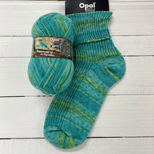 Load image into Gallery viewer, Opal Rainforest 18 4ply