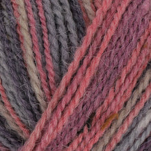 Load image into Gallery viewer, King Cole Homespun Prism DK