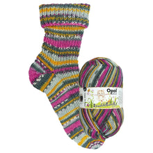 Load image into Gallery viewer, Opal Cuddle Gang 6ply Sock