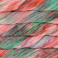 Load image into Gallery viewer, Malabrigo Arroyo