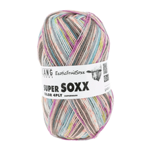 Load image into Gallery viewer, LANGYARNS Super Soxx Colour Exotic Fruit Soxx