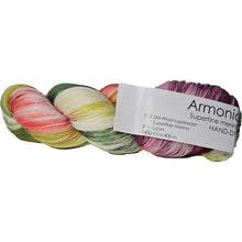 Load image into Gallery viewer, Armonia Hand Dyed