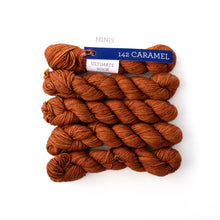 Load image into Gallery viewer, Malabrigo Ultimate sock - Minis