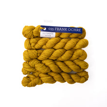 Load image into Gallery viewer, Malabrigo Ultimate sock - Minis