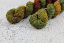 Load image into Gallery viewer, Take Two | The Wives Collection | 4ply | BFL and Nylon