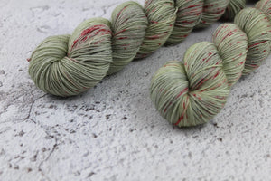 Take Two | The Wives Collection | 4ply | BFL and Nylon