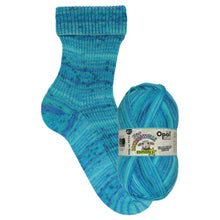 Load image into Gallery viewer, Opal Feine Merinowolle Edition 2 4ply