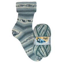 Load image into Gallery viewer, Opal Mitternachtstraum 4ply