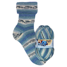 Load image into Gallery viewer, Opal Mitternachtstraum 4ply