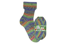 Load image into Gallery viewer, The Best of Opal - 4ply