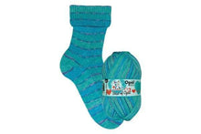 Load image into Gallery viewer, The Best of Opal - 4ply