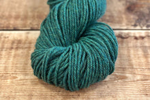 Load image into Gallery viewer, CoopKnits Socks Yeah! DK