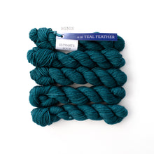 Load image into Gallery viewer, Malabrigo Ultimate sock - Minis
