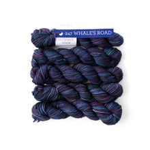 Load image into Gallery viewer, Malabrigo Ultimate sock - Minis