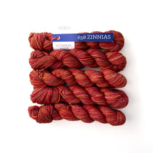 Load image into Gallery viewer, Malabrigo Ultimate sock - Minis