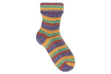 Load image into Gallery viewer, Opal Regenwald 20 Sock Wool