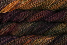 Load image into Gallery viewer, Malabrigo Arroyo