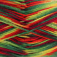Load image into Gallery viewer, King Cole Jitterbug DK