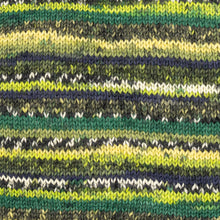 Load image into Gallery viewer, Luca-S WoolenWalk Merino