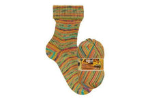 Load image into Gallery viewer, Opal Lieblingsplatz 4ply