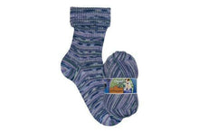 Load image into Gallery viewer, Opal Lieblingsplatz 4ply