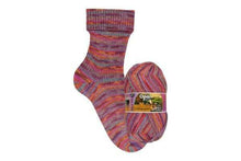 Load image into Gallery viewer, Opal Lieblingsplatz 4ply