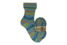 Load image into Gallery viewer, Opal Schafpate 17 Wild Nature