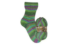 Load image into Gallery viewer, Opal Schafpate 17 Wild Nature