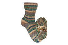 Load image into Gallery viewer, Opal Schafpate 17 Wild Nature