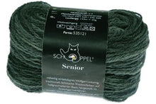 Load image into Gallery viewer, Schoppel-Wolle Senior