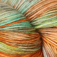 Load image into Gallery viewer, Symfonie - Terra - Variegated 4ply Sock