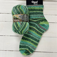 Load image into Gallery viewer, Opal Rainforest 18 4ply