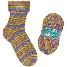 Load image into Gallery viewer, Opal Sock Wool - Assorted