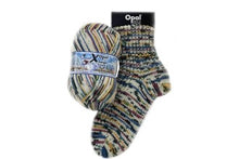 Load image into Gallery viewer, Opal Wilder Winter 8ply