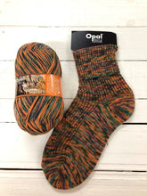 Load image into Gallery viewer, Opal Country 4ply